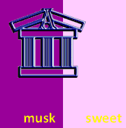musk sweet