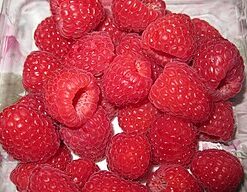 Aroma & Flavour Chemicals